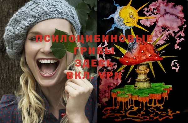 твердый Алексин